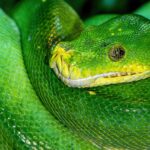 Mastering Coding with Real Examples